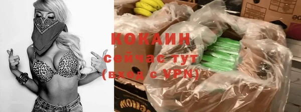 стафф Коряжма