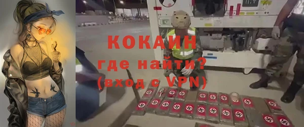 стафф Коряжма