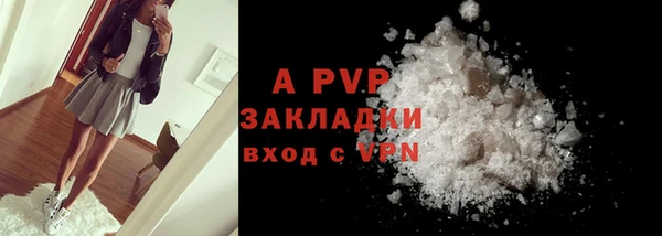 стафф Коряжма