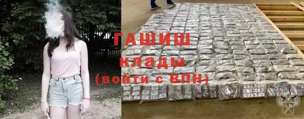 стафф Коряжма