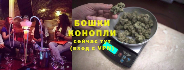 стафф Коряжма